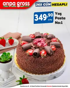 09.01.2026 tarihinden itibaren geçerli olan Anpa Gross kataloğu önizlemesi