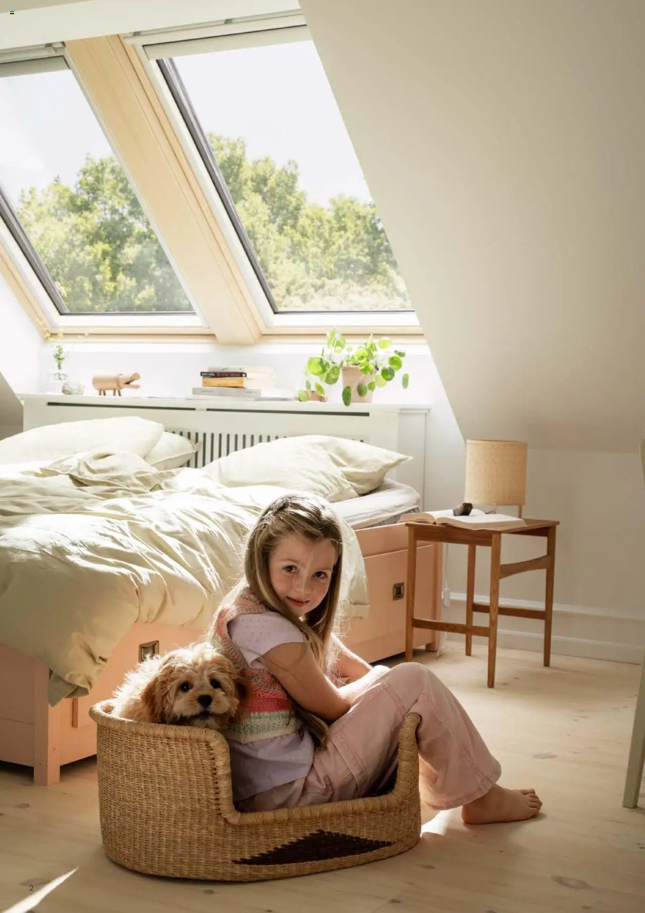 Catalog Velux – valabil de la 25.02.2025 | Pagină: 2