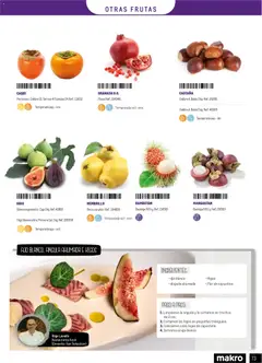 Vista previa Makro - Especial Frutas y Verduras Península válido desde el 05.01.2026 | Página: 73 | Productos: Κρεμάστρα, Σαντιγύ, Bolsa, Caja