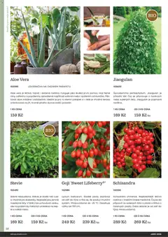 Náhled letáku Starkl katalog Jaro 2026 od 25.02.2026 | Strana: 38