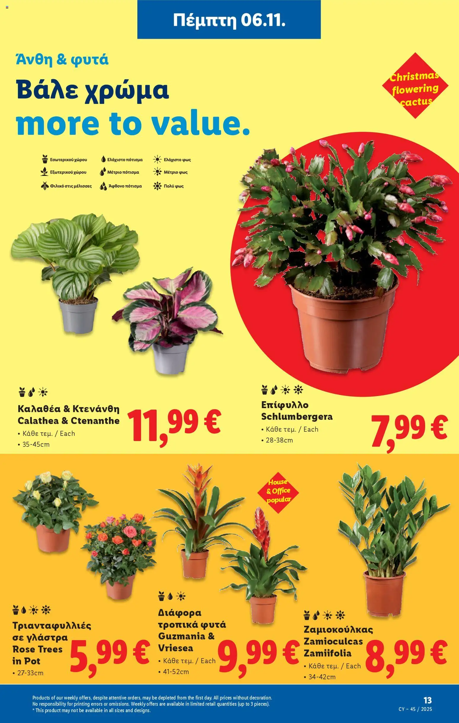 Lidl - Φυλλάδιο – σε ισχύ από 06.11.2025 | Σελίδα: 45