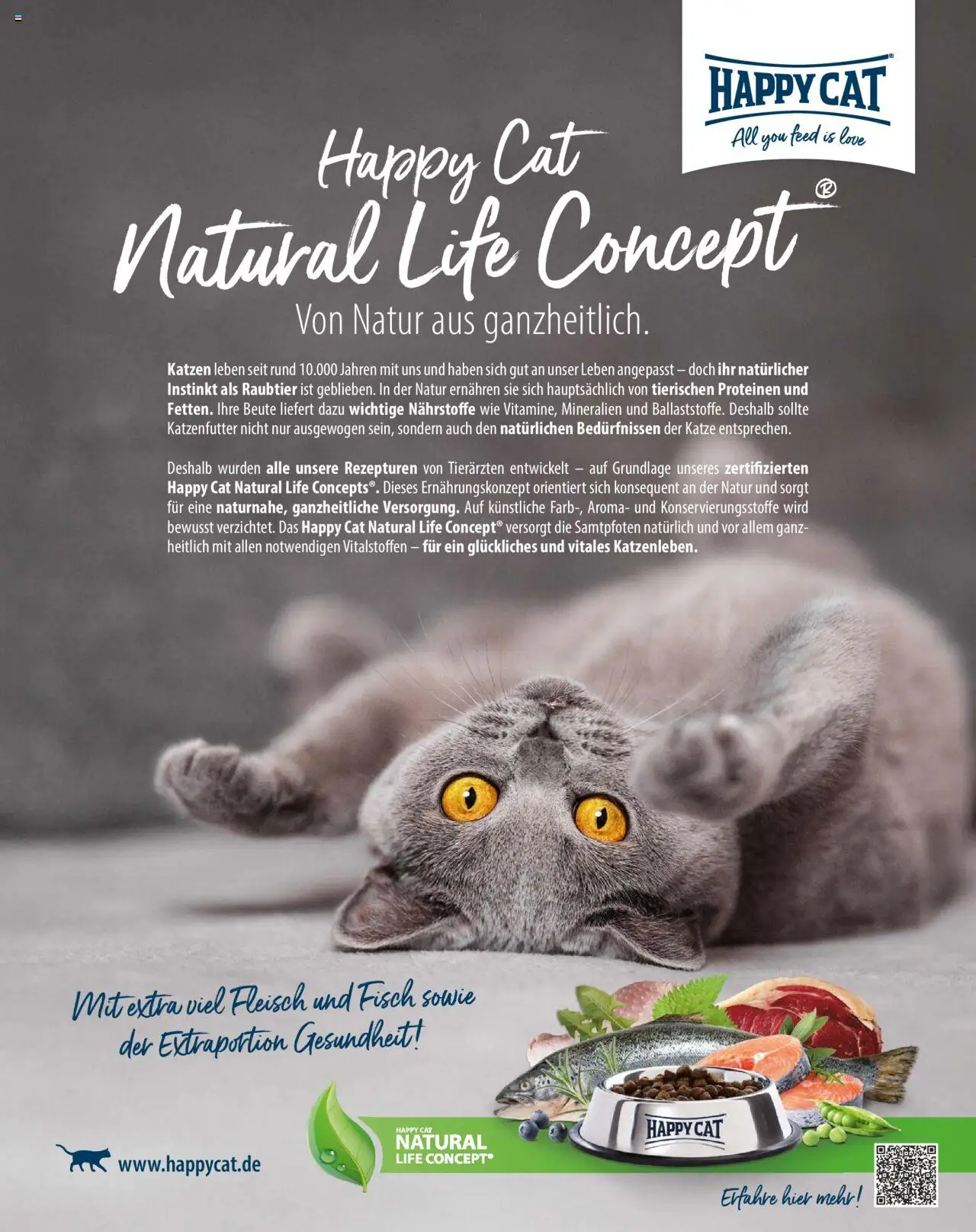 Fressnapf Friends Magazin – gültig ab 01.09.2025 | Seite: 21 | Produkte: Katzenfutter, Fisch, Fleisch
