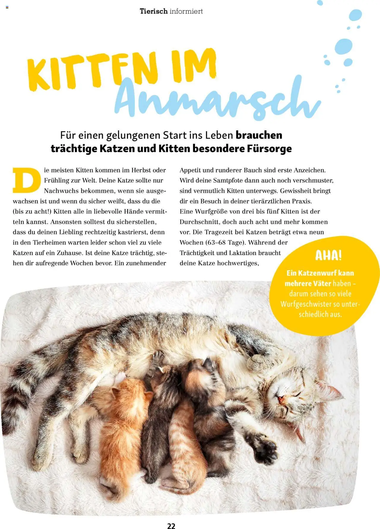 Fressnapf Friends Magazin – gültig ab 01.09.2025 | Seite: 22