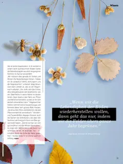 Denns BioMarkt KREO Magazin gültig ab 14.07.2025 | Seite: 11