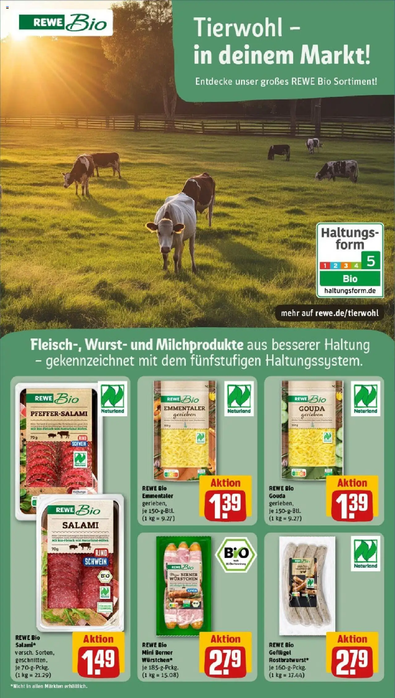 Rewe prospekt St. Ingbert / Rohrbach	 - gültig ab dem 08.06.2025 | Seite: 21 | Produkte: Gouda, Wurst, Salami, Fleisch