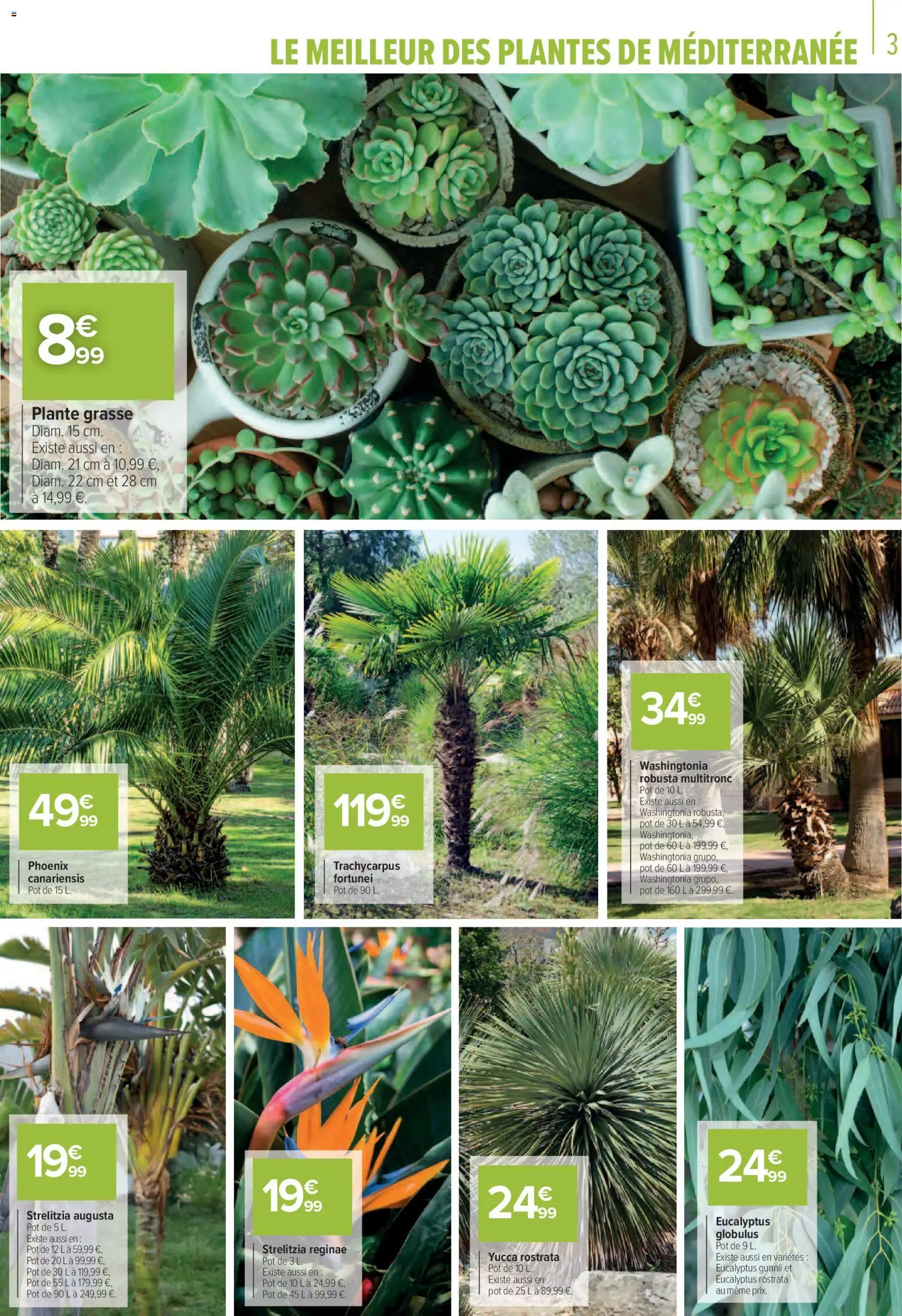 {H1} | Page: 3 | Produits: Plantes