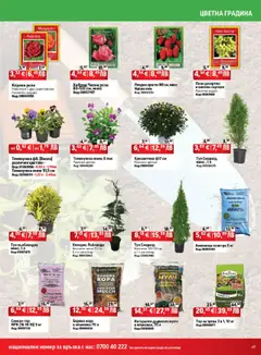 Преглед на HomeMax брошура - Офертите са валидни от 08.10.2025 | Страница: 47 | Продукти: Vanília kivonat, Хризантема, Контейнер, Роза