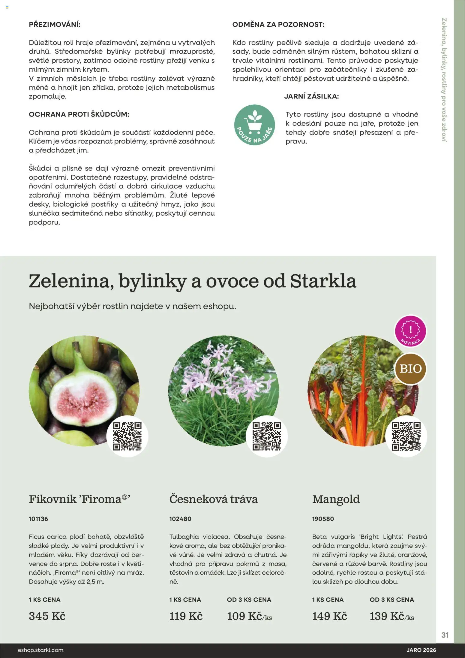 Starkl katalog Jaro 2026 od 25.02.2026 | Strana: 31 | Produkty: Ovoce, Rostliny