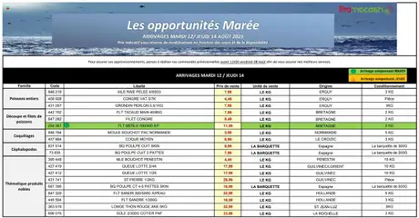 Promocash - Prévisualisation de Promocash Mercuriale opportunités s33      valide à partir de 12.08.2025