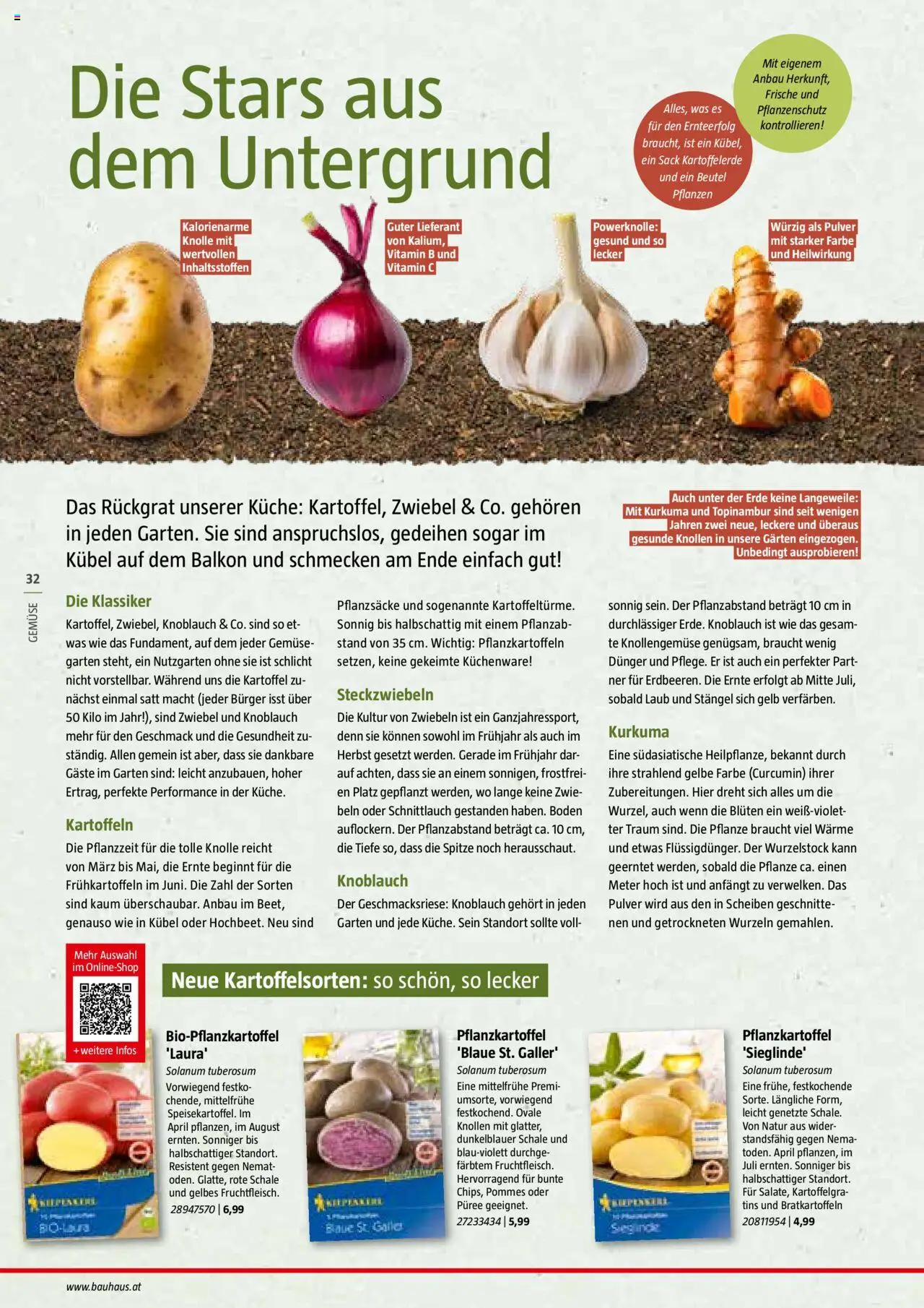 Bauhaus Reiche Ernte Magazin 2025 gültig ab 01.07.2025 | Seite: 32 | Produkte: Kartoffeln, Zwiebeln, Gemüse, Knoblauch