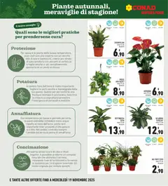 Anteprima del volantino Conad Superstore Piemonte catalogo valido a partire dal 06.11.2025 | Pagina: 10