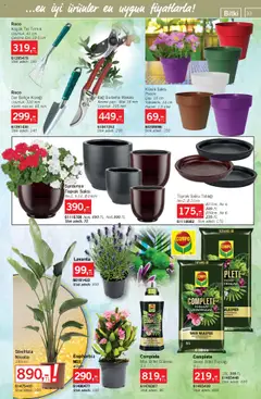 Bauhaus Katalog - 30.08.2025 tarihinden itibaren geçerlidir | Sayfa: 33 | Ürünler: Saksı