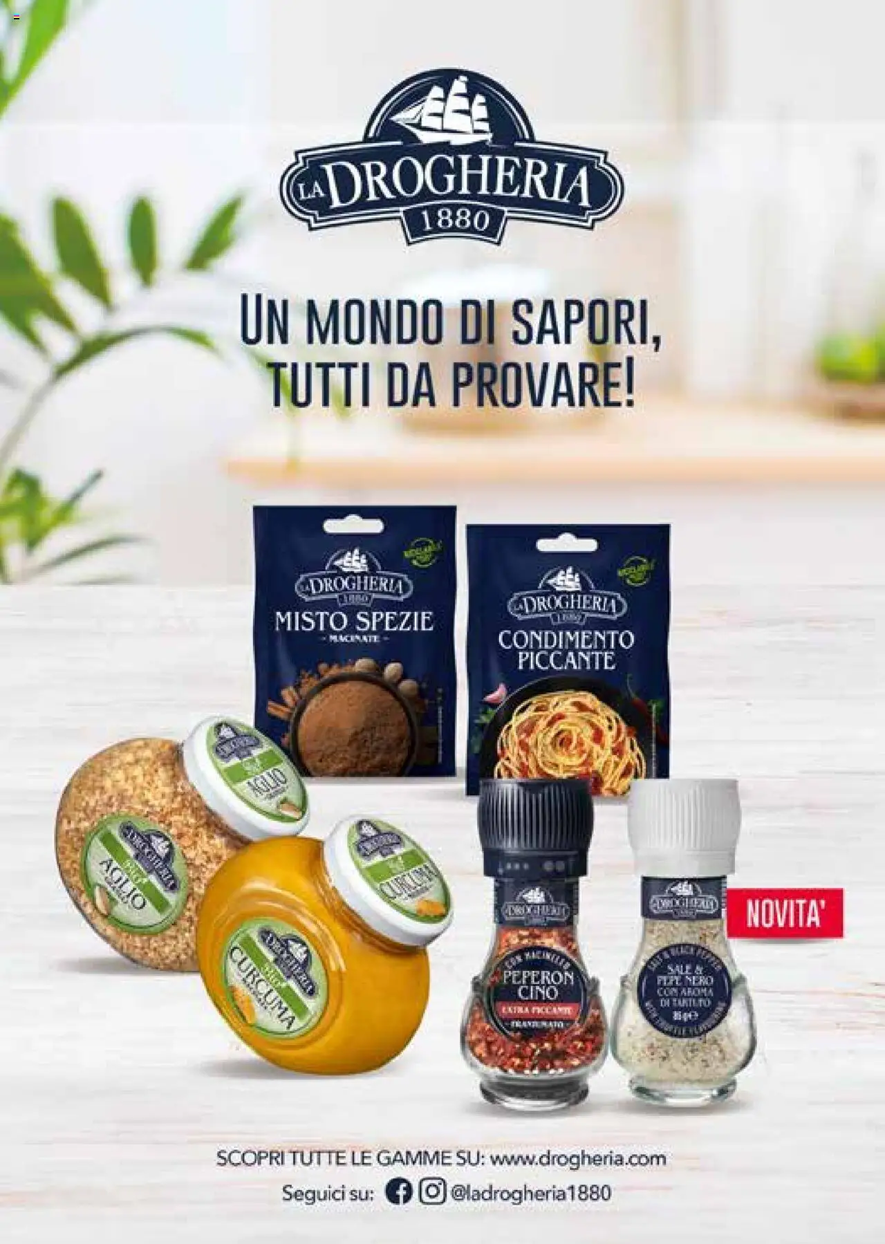 Volantino Gulliver del 01.10.2025 | Pagina: 48 | Prodotti: Spezie, Sale, Aglio