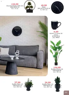 Pogląd oferty "Bodzio Katalog" - ważna od 01.10.2025 | Strona: 205 | Produkty: Zegar