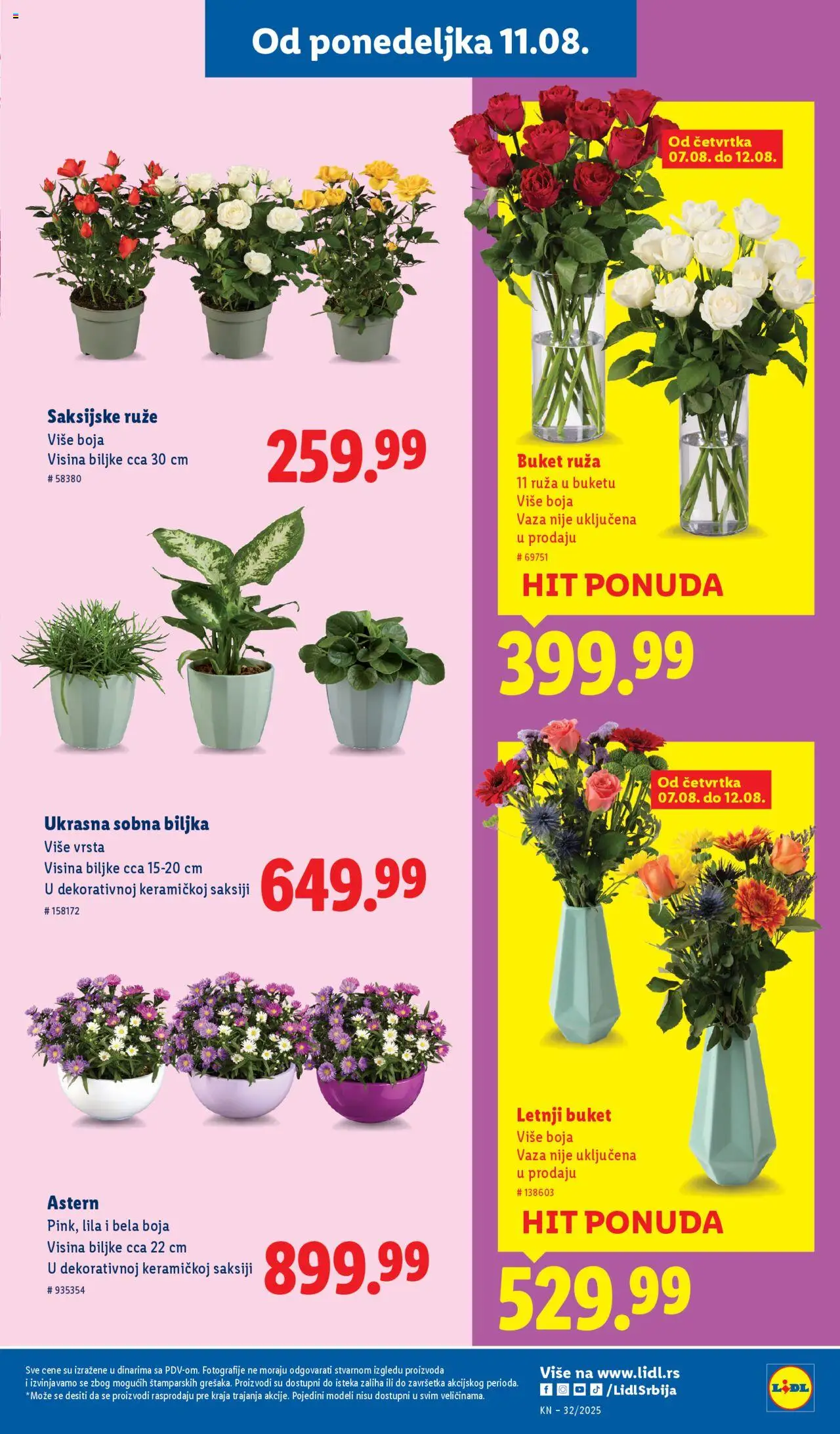 Lidl katalog - važi od 07.08.2025 | Strana: 43 | Proizvode: Vaza, Ruze