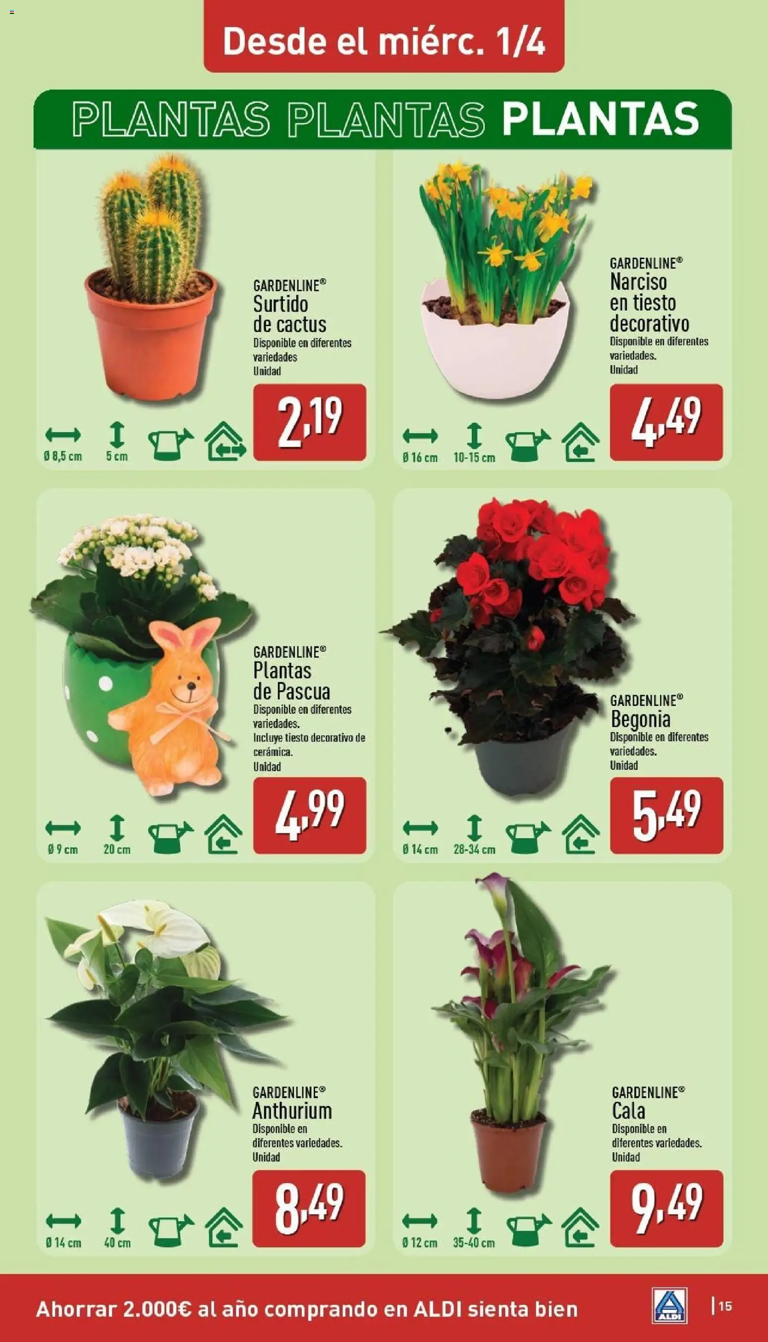 Aldi folleto Baleares │ válido desde el 30.03.2026 | Página: 15