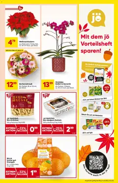 Billa Flugblatt ab 06.11.2025 gültig | Seite: 9