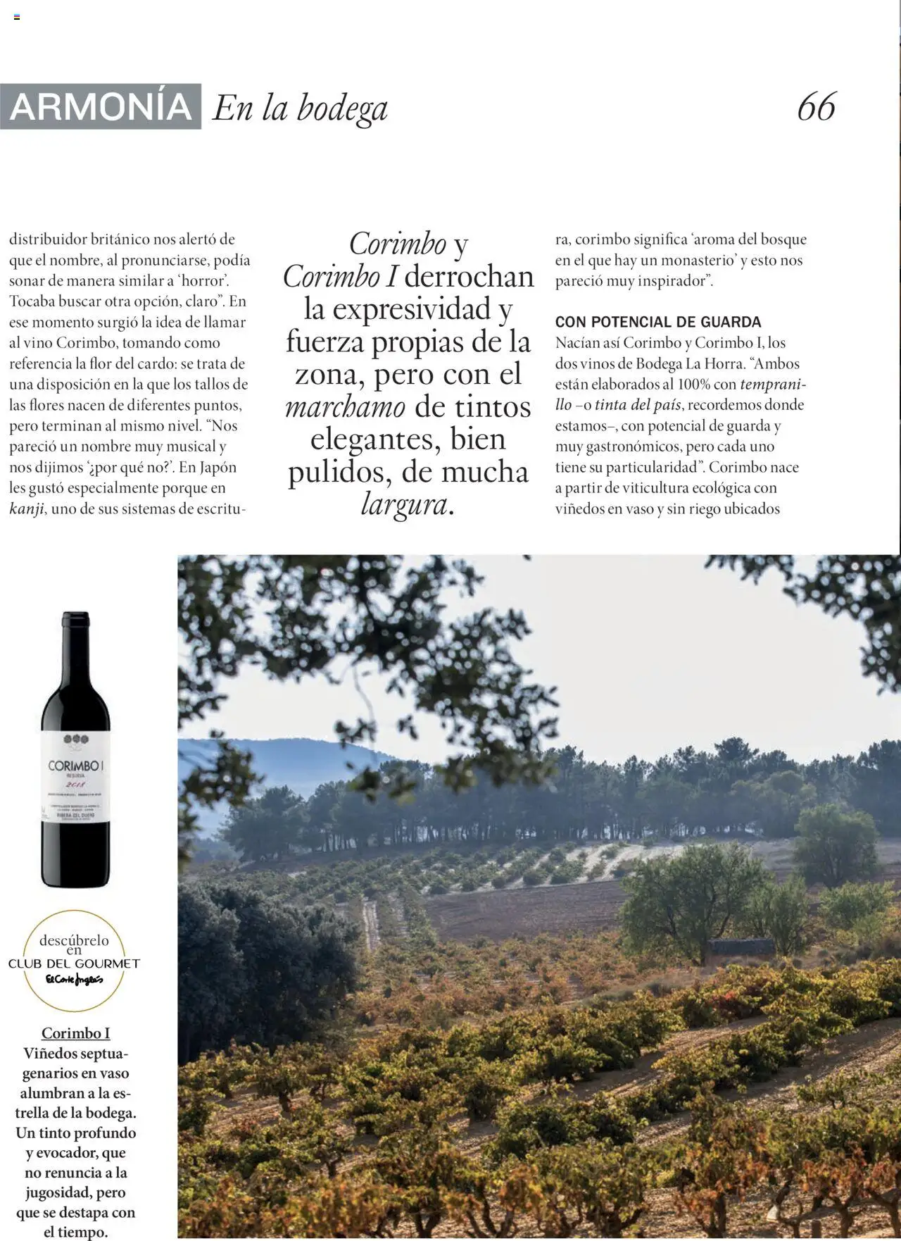 El Corte Inglés ofertas │ válido desde el 26.09.2025 | Página: 66 | Productos: Vino
