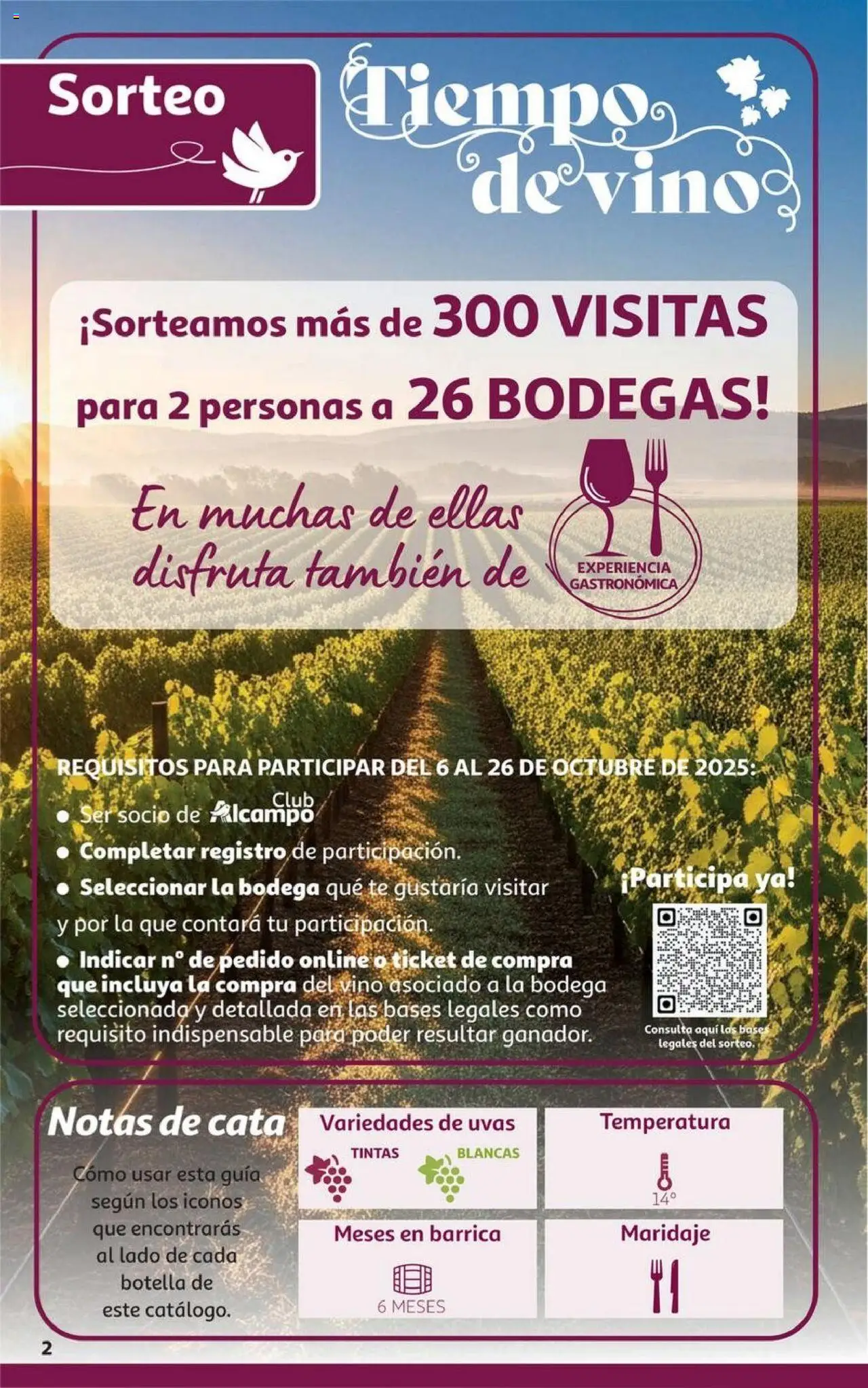 Alcampo - HP Castilla León │ válido desde el 06.10.2025 | Página: 2 | Productos: Τζίντζερ, Vino, Té
