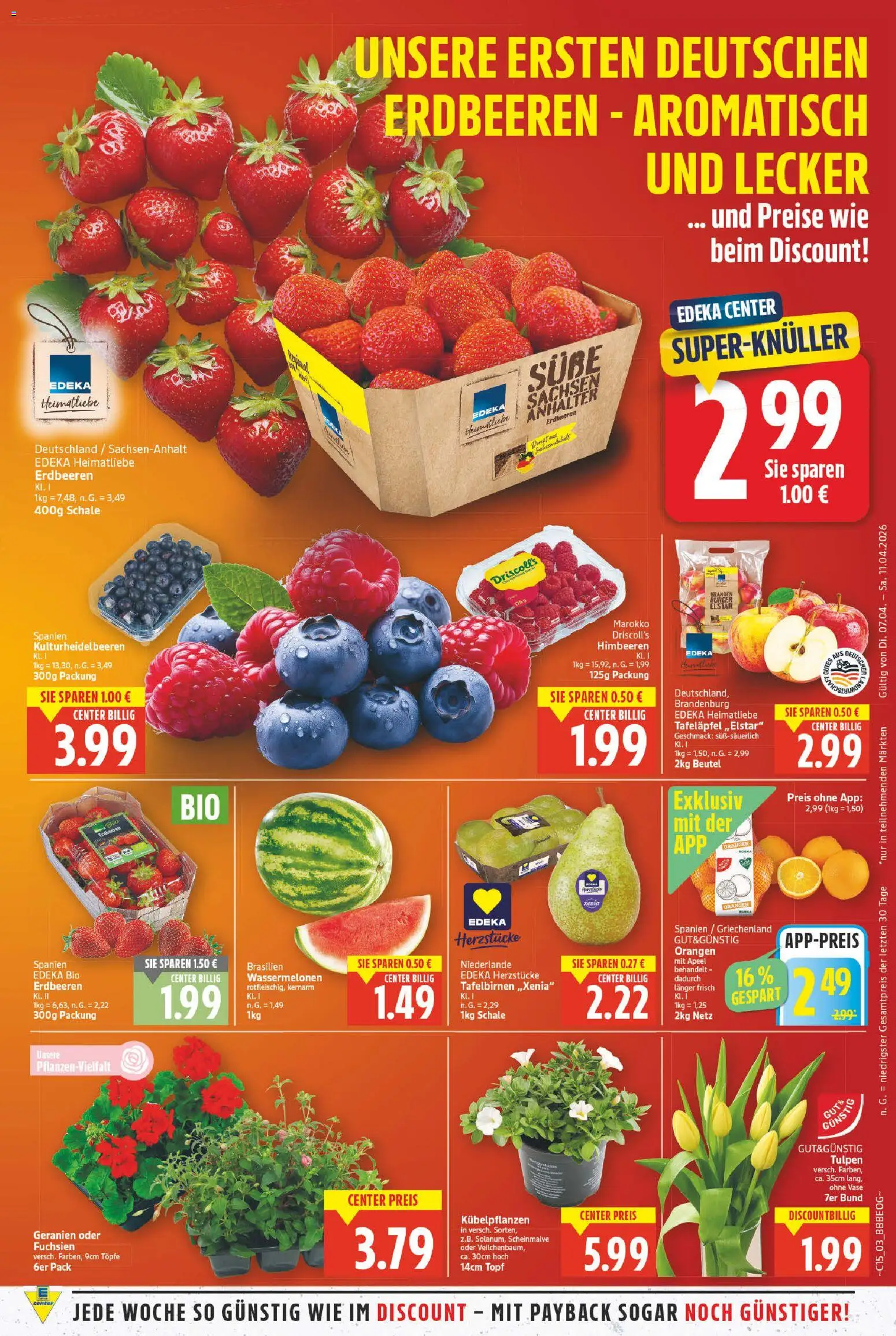 E center Prospekt 	 – gültig ab 07.04.2026 | Seite: 3 | Produkte: Himbeeren, Orangen, Geranien, Erdbeeren
