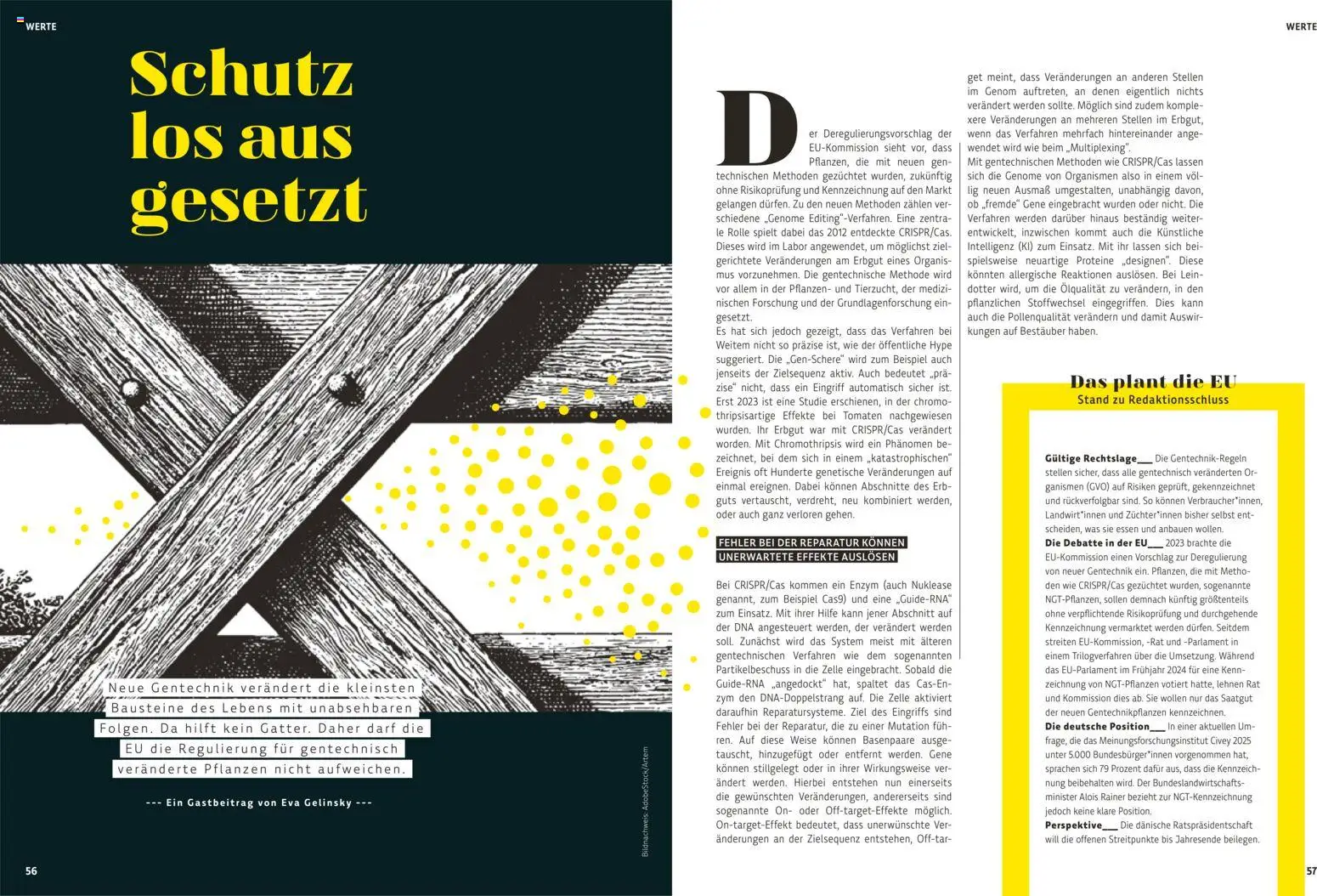 Denns BioMarkt  KREO Magazin gültig ab 21.10.2025 | Seite: 29 | Produkte: Tomaten