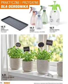 Pogląd oferty "OBI gazetka - Ogród" - ważna od 11.03.2026 | Strona: 136 | Produkty: Rukola, Mięta, Bazylia