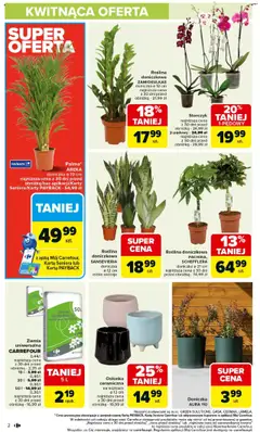 Carrefour Gazetka - Łap okazje od 11.09.2025 | Strona: 2 | Produkty: Karta, Zamiokulkas, Ziemia, Storczyk