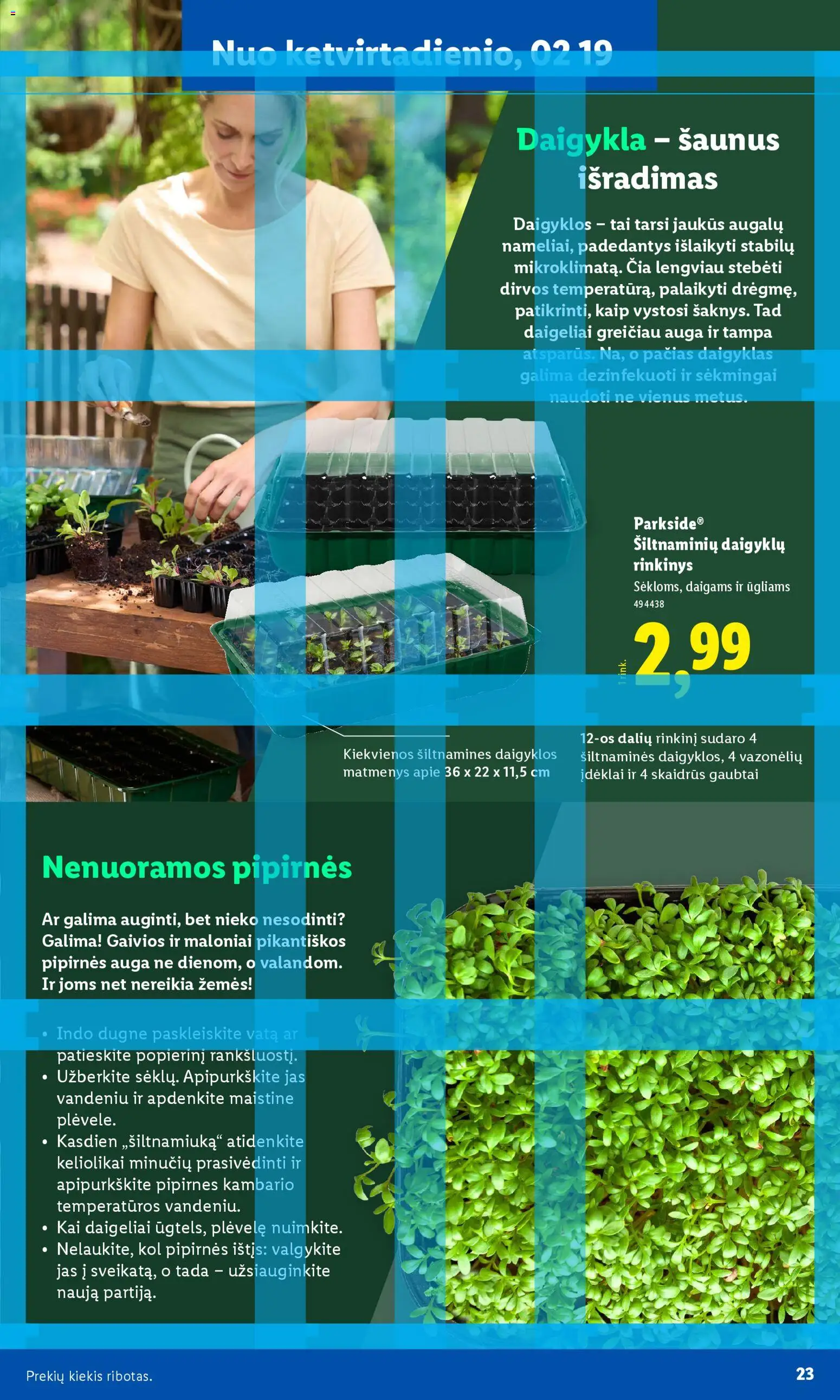 LIDL akcijos nuo 16.02.2026 | Puslapis: 11 | Prekių: Vata