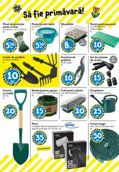 Ofertele TEDi valabile de la 13.03.2026 | Pagină: 28 | Produse: Pernă, Perie, Fructe