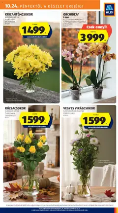 Aldi Akciós újság - amely érvényes a következő dátumtól: 24.10.2025 | Oldal: 27 | Termékek: Virágok, Váza, Dekoráció