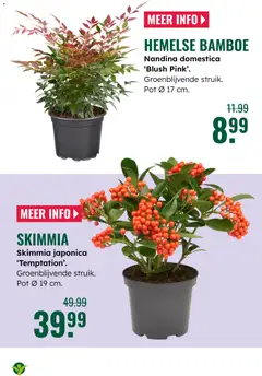 GroenRijk - Folder - Voorbeeld van een folder van GroenRijk, geldig van 22.10.2025 | Pagina: 12 | Producten: Pot