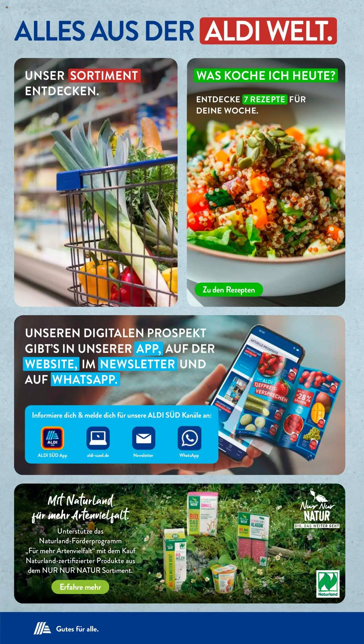 Aldi Süd Prospekt 	 - gültig ab dem 01.09.2025 | Seite: 33 | Produkte: Milch