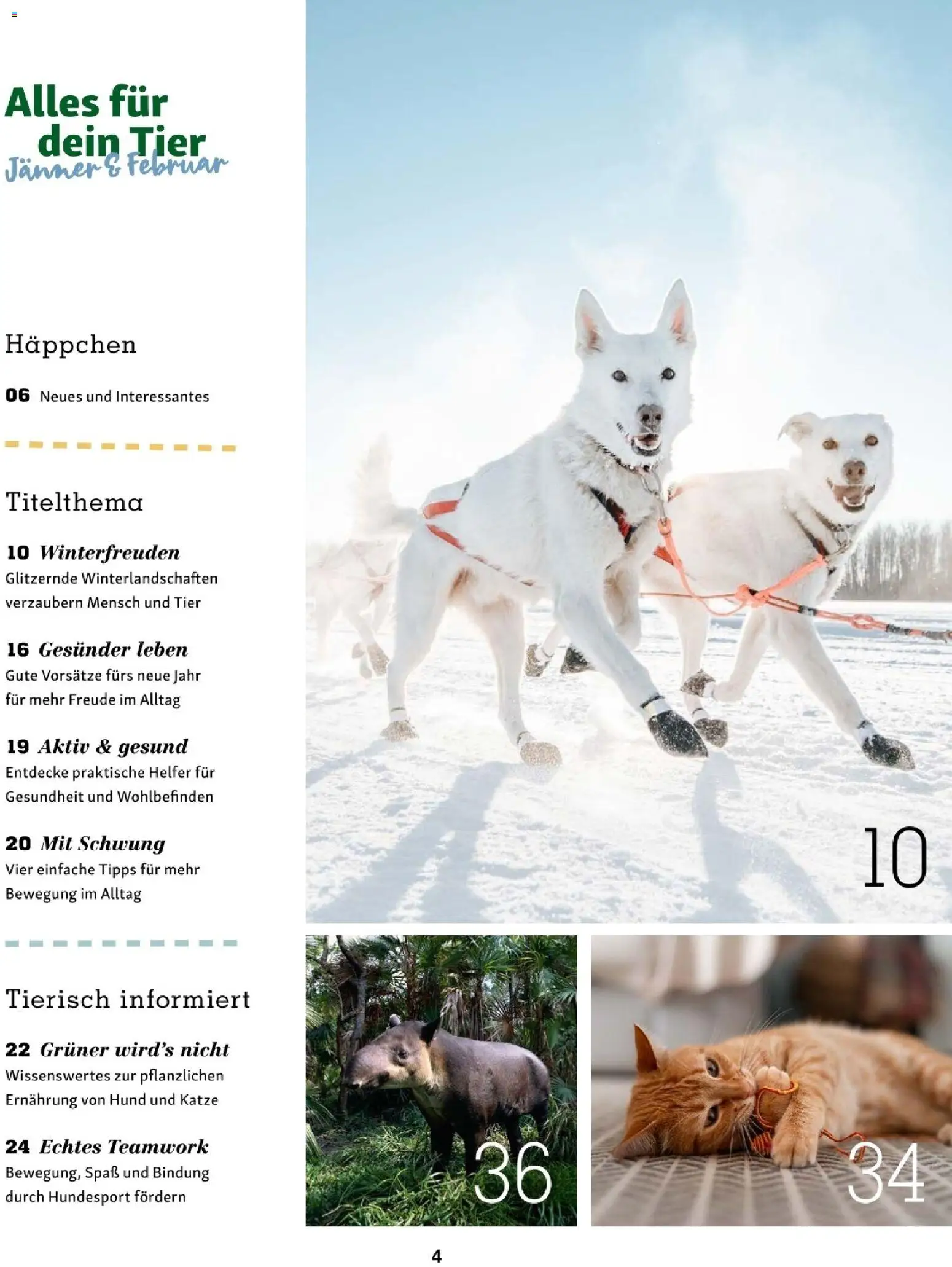 Fressnapf Friends 01/26 gültig ab 01.01.2026 | Seite: 4