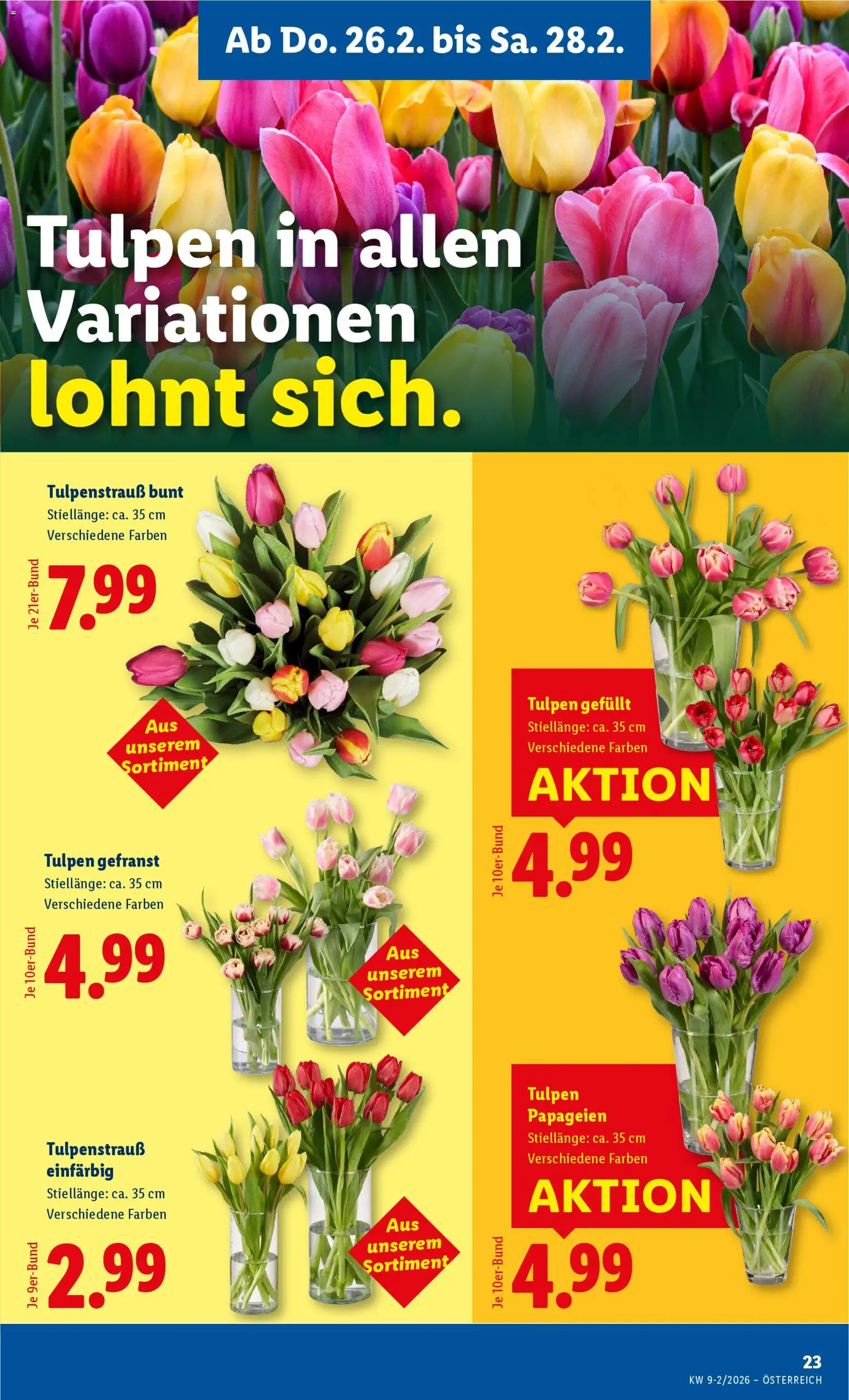Lidl Flugblatt - Oberpullendorf, Güssing, Oberwart gültig ab 26.02.2026 | Seite: 25