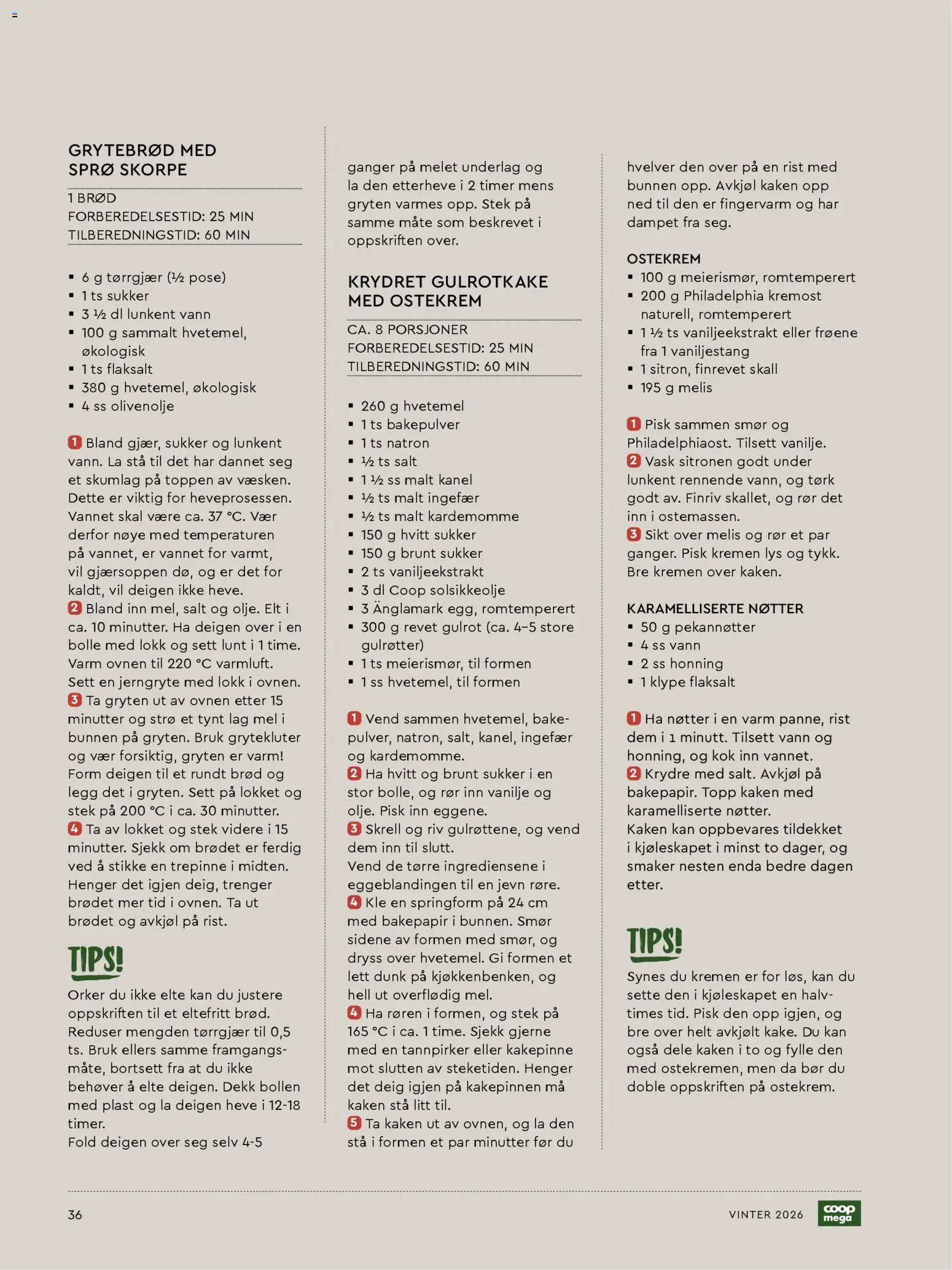 {H1} | Side: 36 | Produkter: Grillkol, Gulrot, Bakepulver, Biltong knife