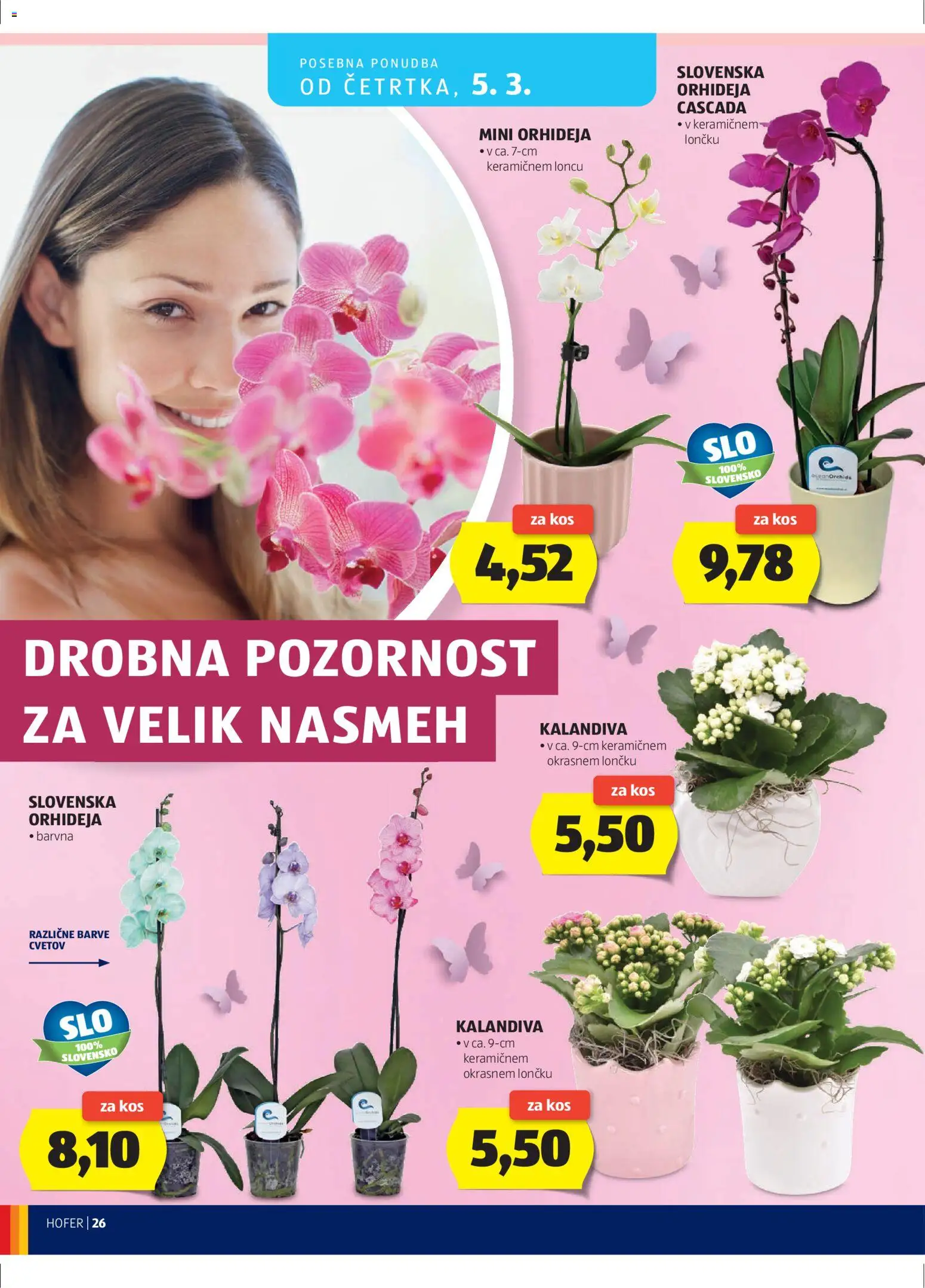 Hofer SI katalog | vrijedi od 25.02.2026 | Stranica: 26 | Proizvodi: Orhideja