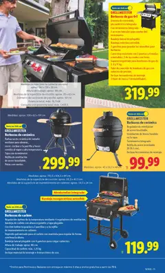 Vista previa Lidl folleto de bazar válido desde el 13.04.2026 | Página: 5 | Productos: Barbacoa, Parrilla, Termómetro, Bandeja