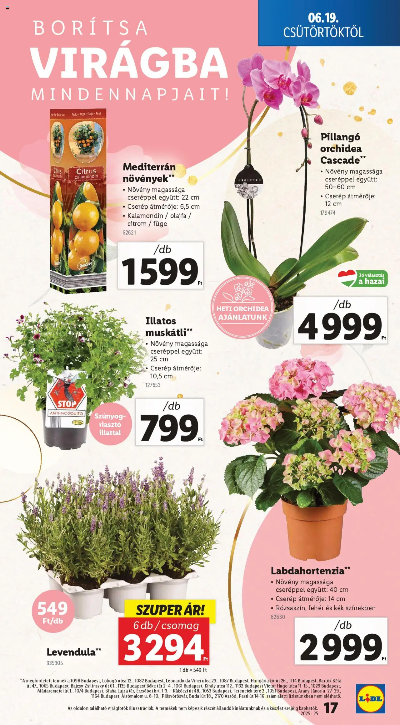 Lidl akciós ujság - amely érvényes a következő dátumtól: 19.06.2025 | Oldal: 17 | Termékek: Orchidea, Riasztó, Füge, Levendula