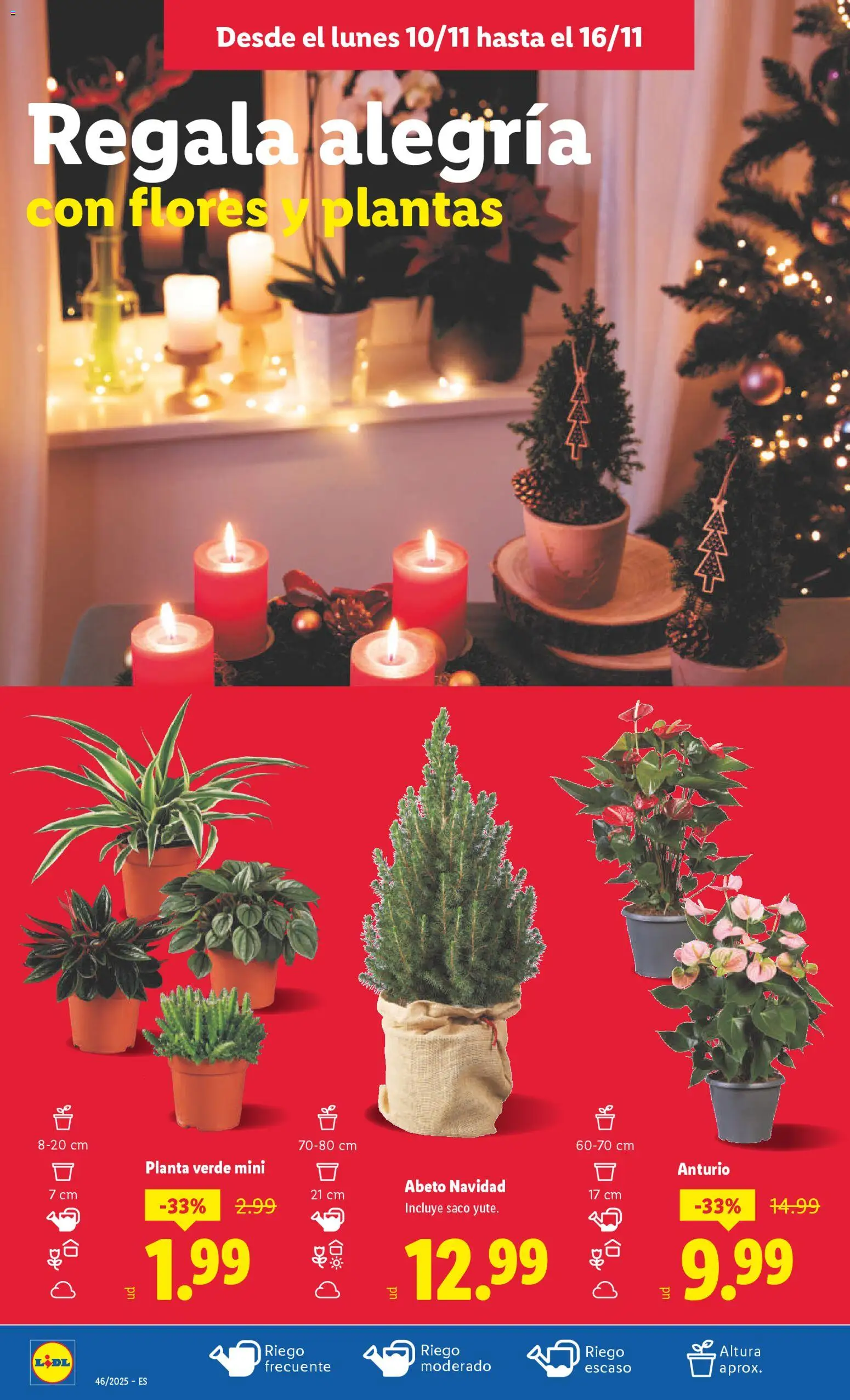 Lidl folleto │ válido desde el 10.11.2025 | Página: 46