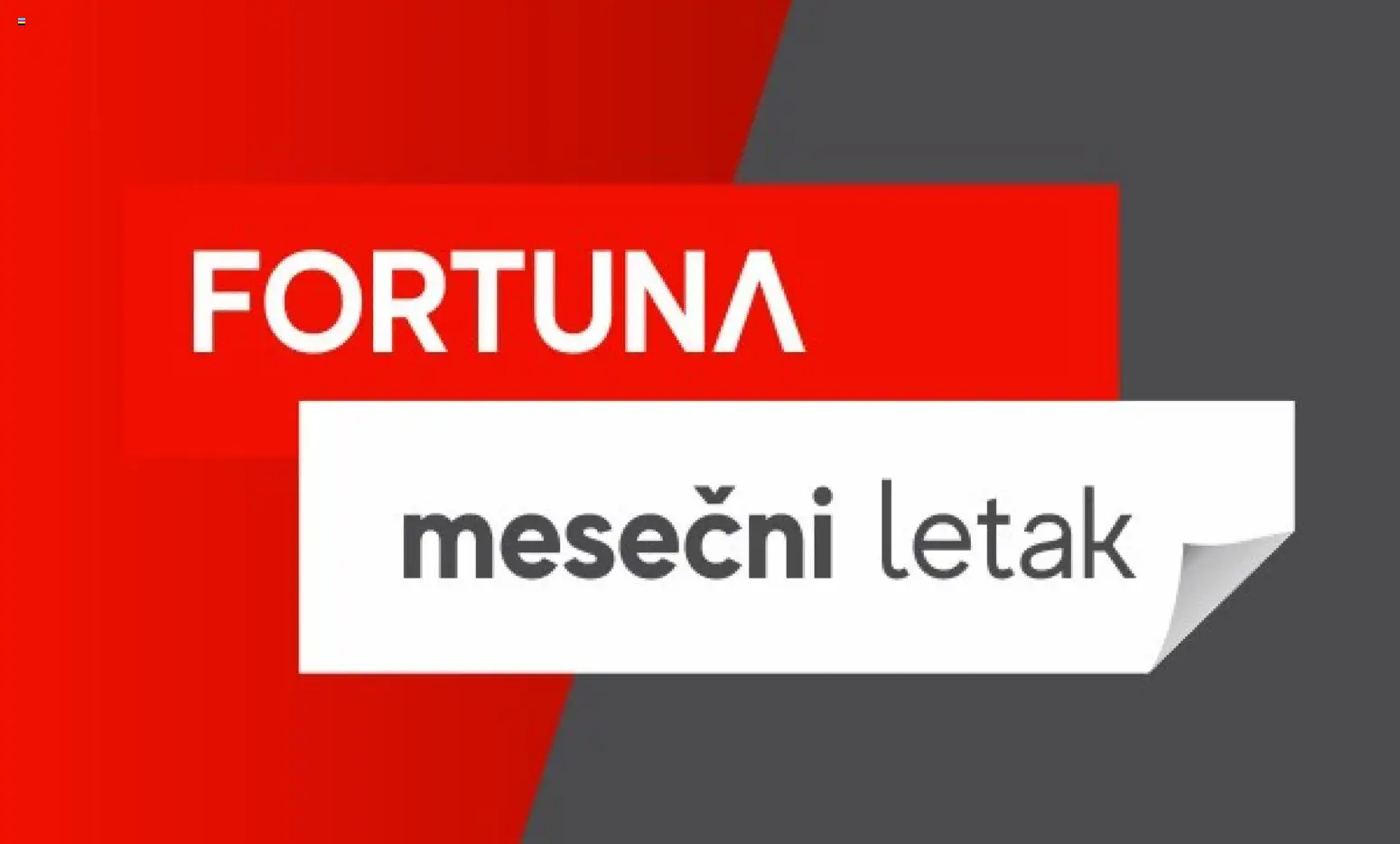 Fortuna Market katalog - važi od 11.12.2025 | Strana: 13