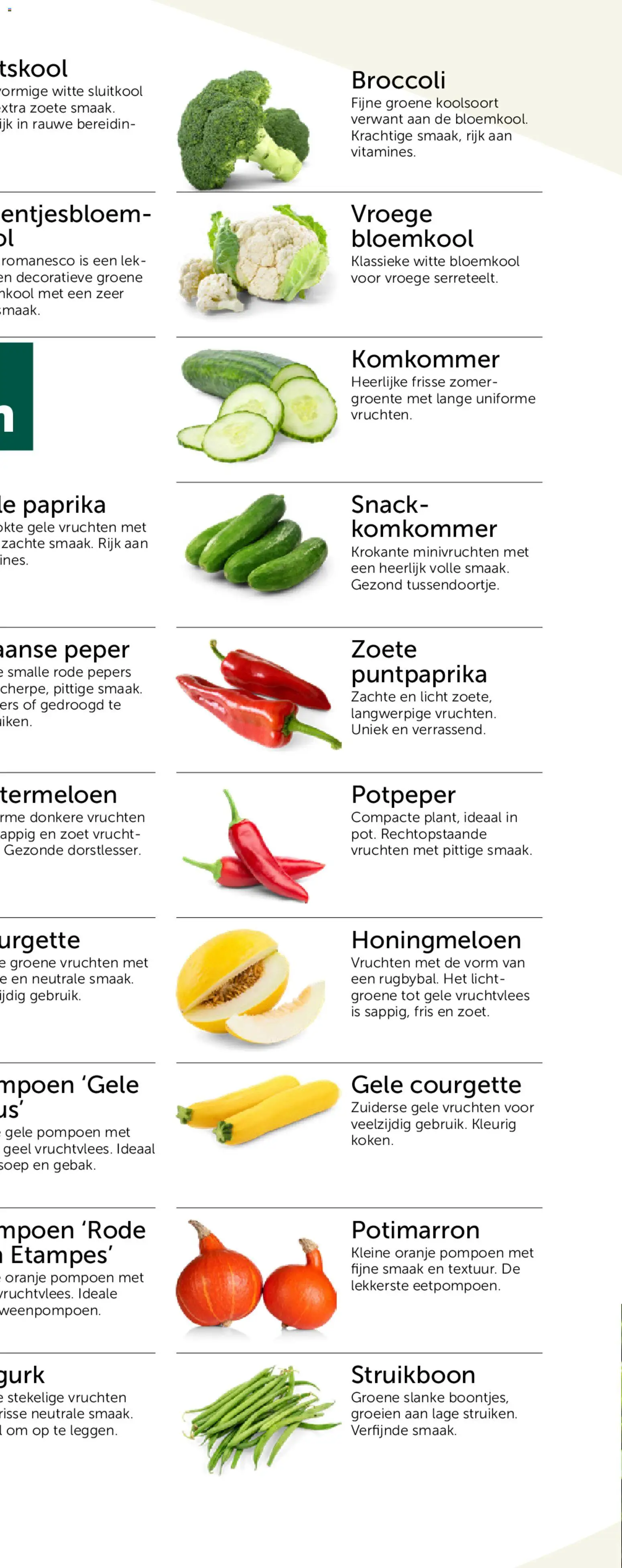 {H1} | Pagina: 55 | Producten: Peper, Pompoen, Kool, Broccoli