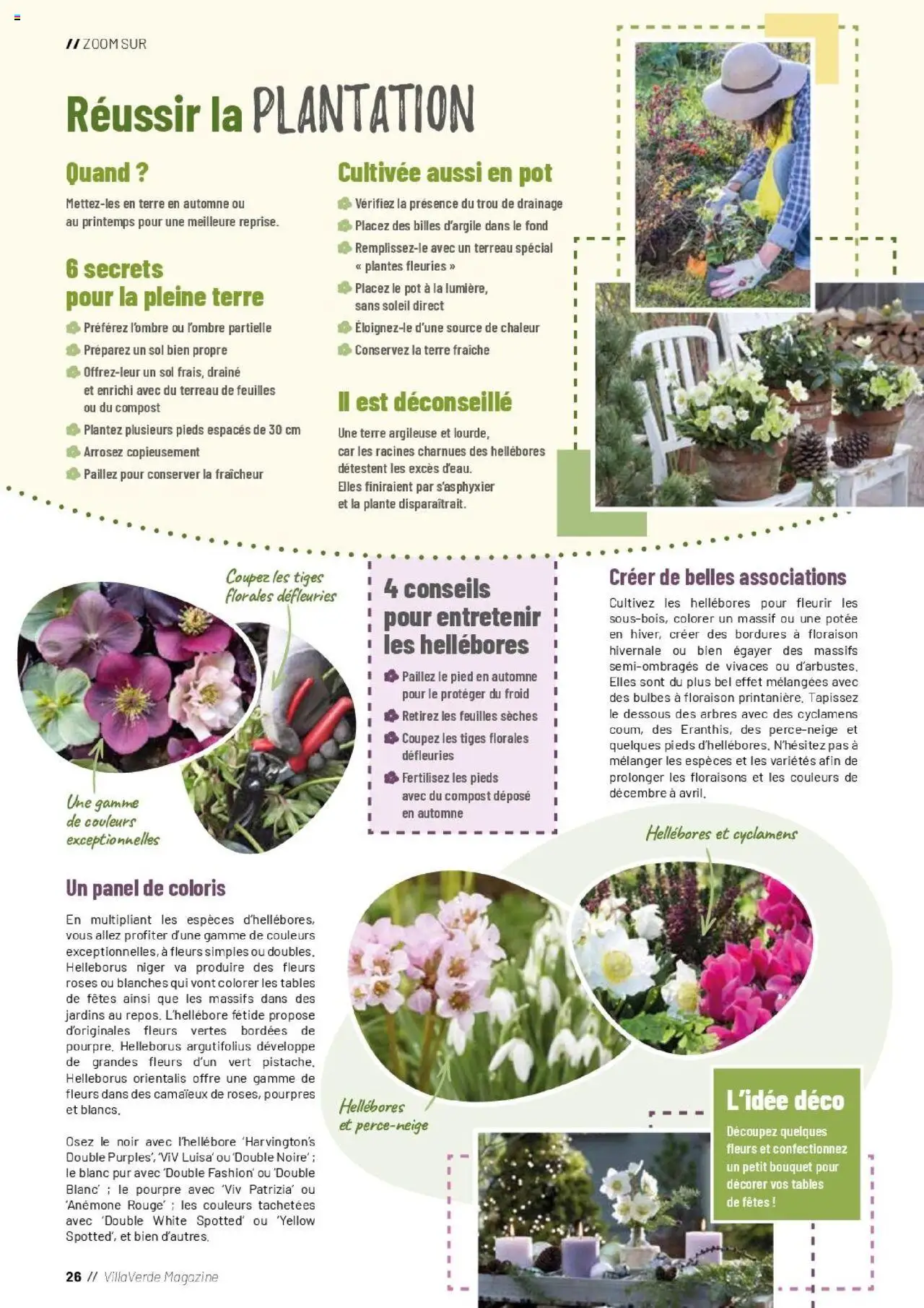 {H1} | Page: 26 | Produits: Plantes, Terreau, Magazine