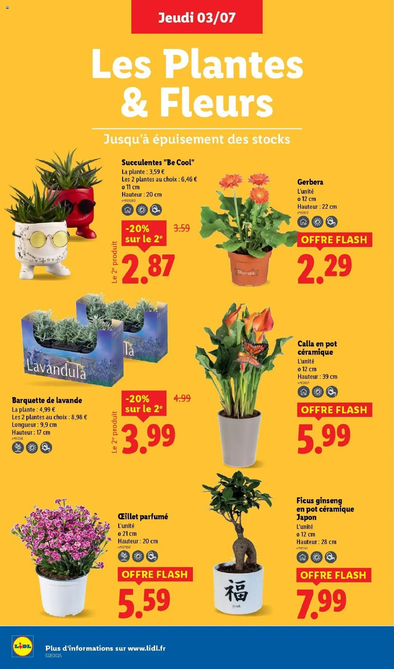  | Page: 26 | Produits: Lavande, Plantes, Oeillet parfumé