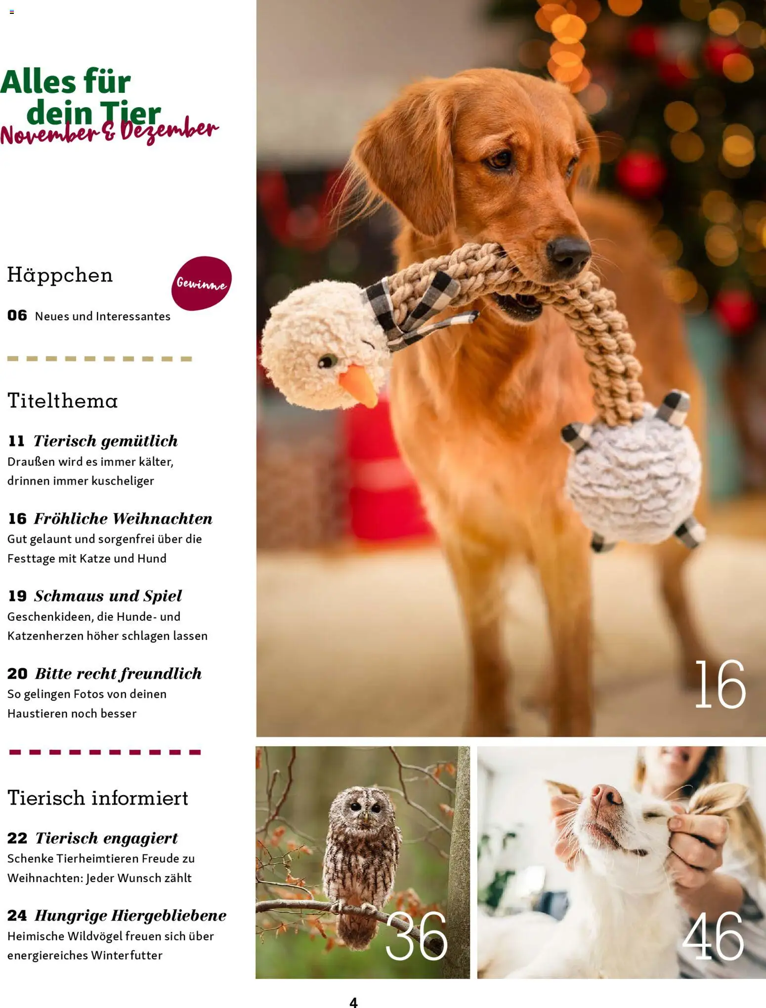 Fressnapf Magazin – gültig ab 01.11.2025 | Seite: 4 | Produkte: Spiel