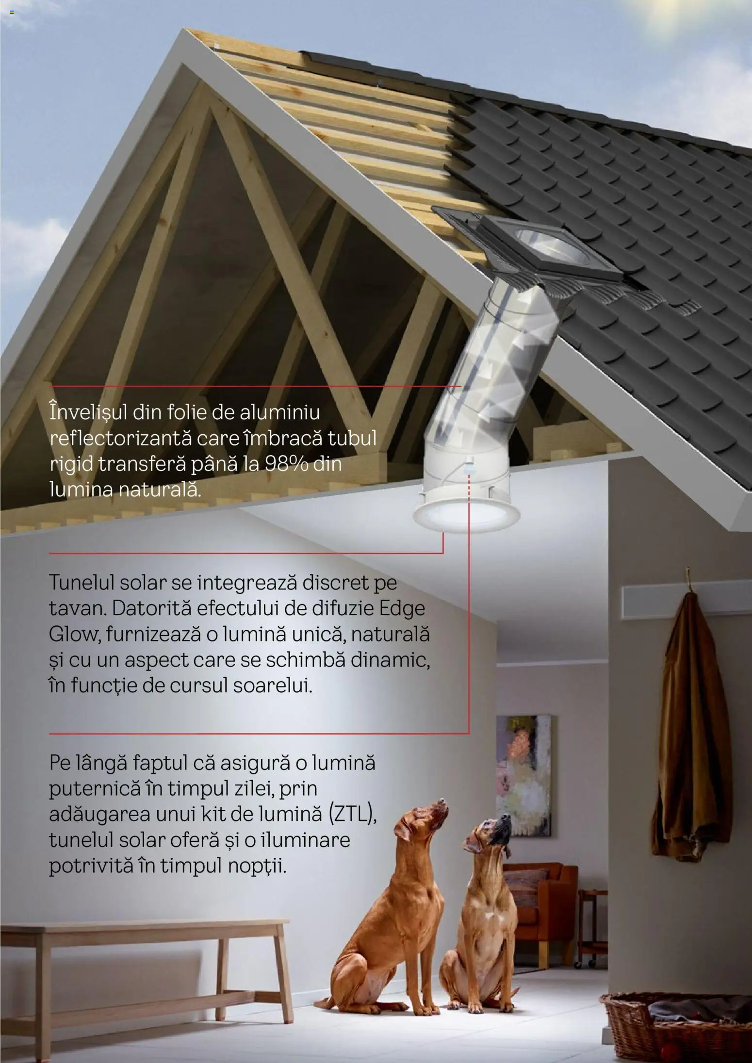 Noul catalog Velux – valabil de la 03.02.2026 | Pagină: 12 | Produse: Tavuk suyu