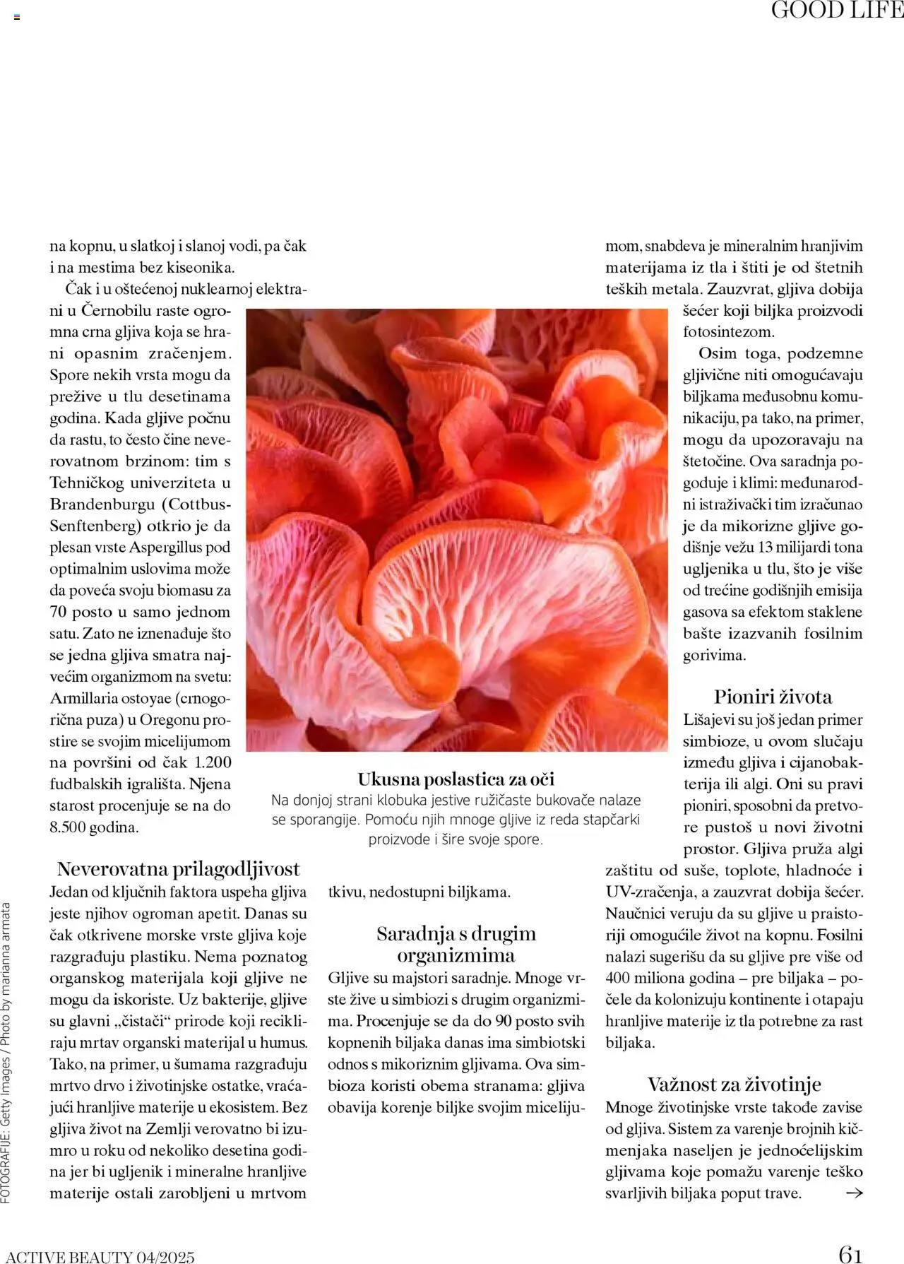 DM Drogerie katalog - važi od 09.10.2025 | Strana: 61 | Proizvode: Sto, Šećer