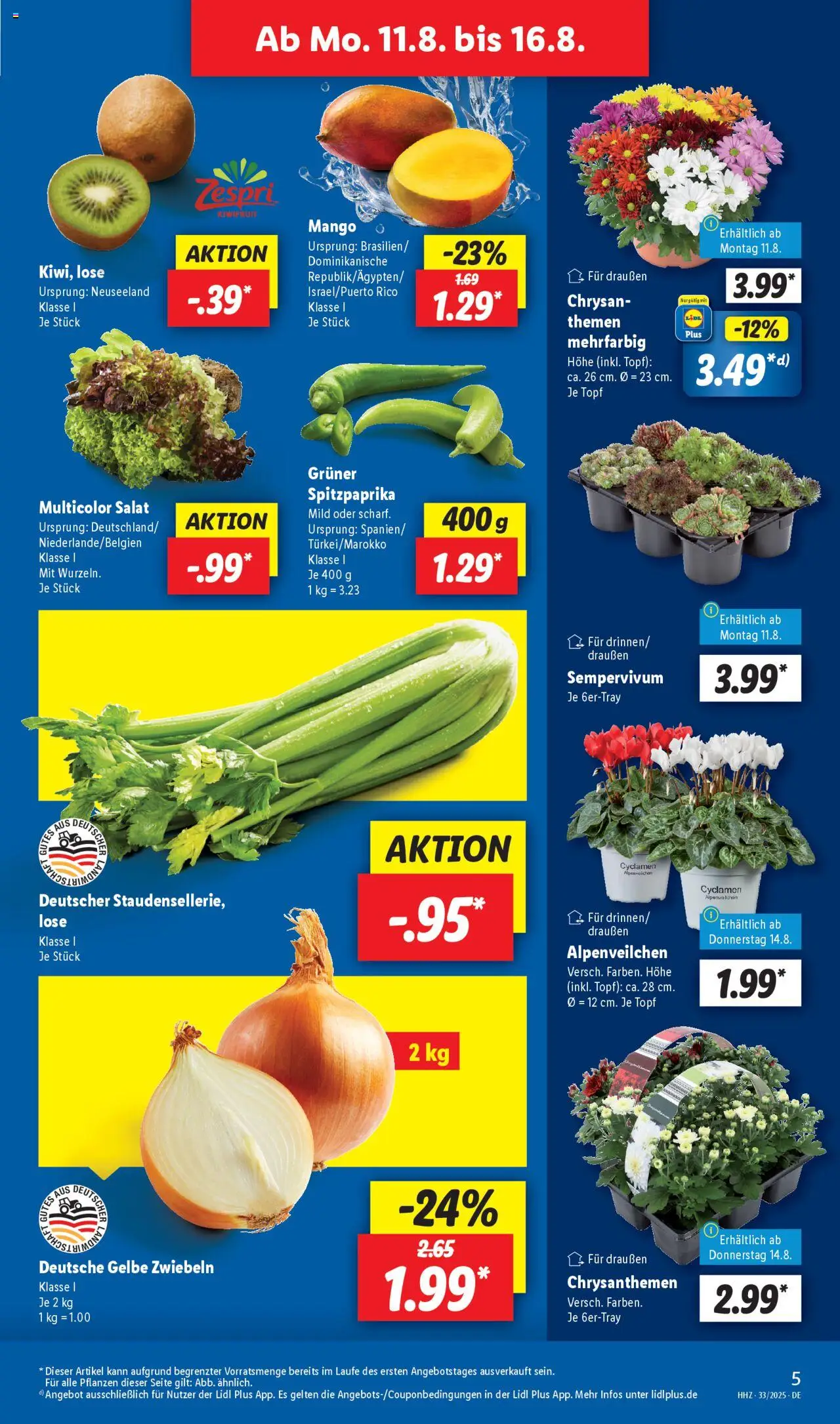Lidl Prospekt 	 - gültig ab dem 11.08.2025 | Seite: 5 | Produkte: Zwiebeln, Mango, Salat
