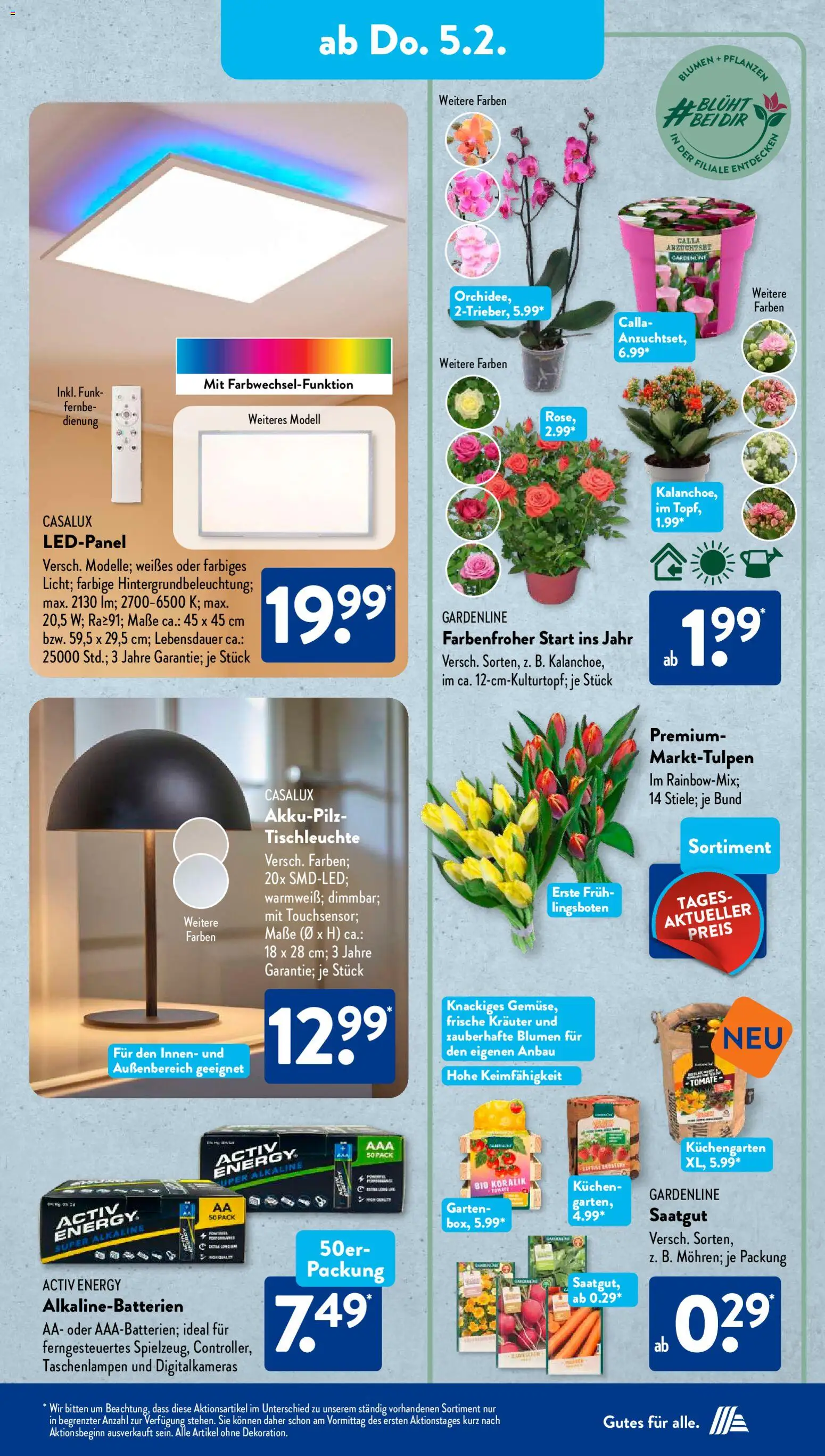 Aldi Süd Prospekt 	 – gültig ab 02.02.2026 | Seite: 9 | Produkte: Energy, Blumen, Kuchen