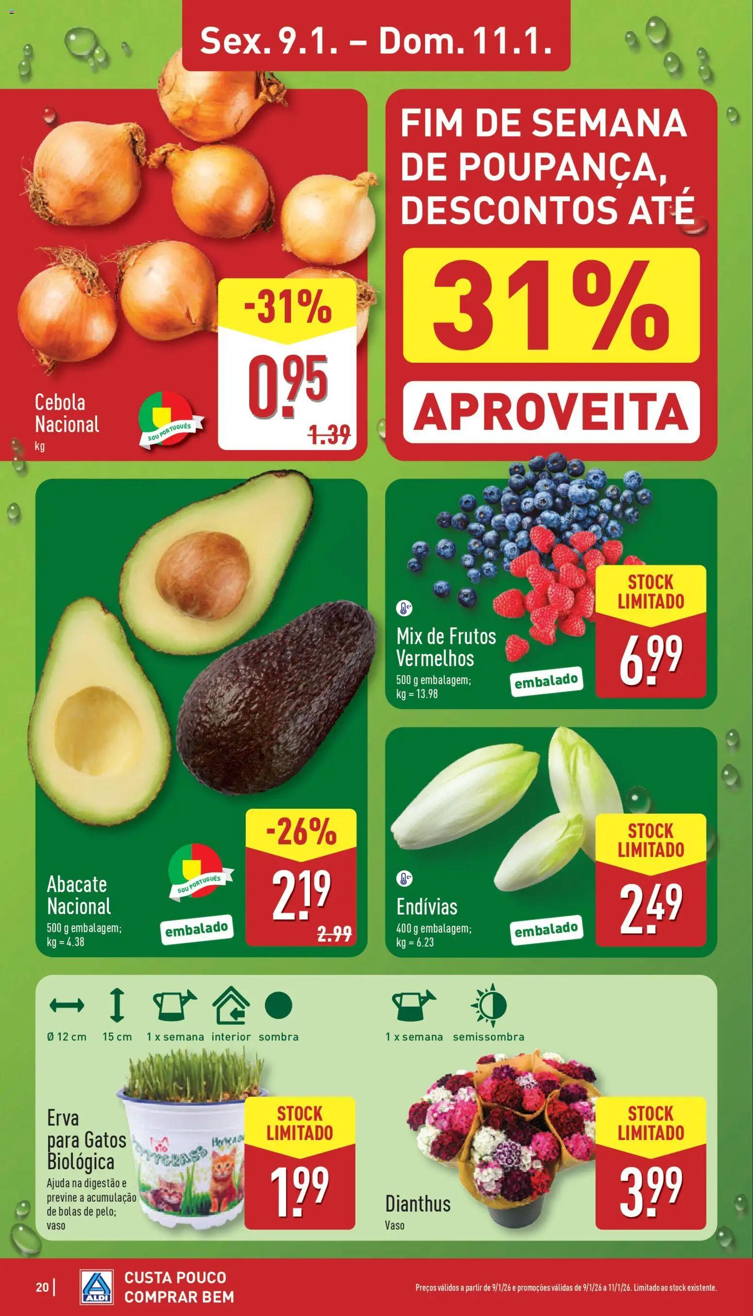 Aldi folheto │ válido de 05.01.2026 | Página: 20 | Produtos: Cebola, Vaso, Abacate