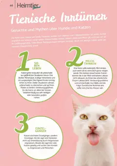 zookauf - Heimtier Journal ab 01.12.2025 gültig | Seite: 46 | Produkte: Durstloscher, Milch, Wasser